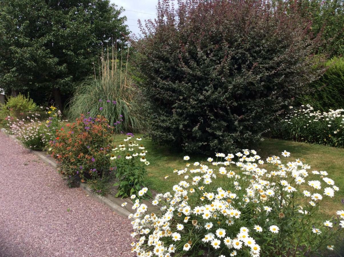 Normandie Cosy Apt Rdc Independant Bien Equipe Dans Maison Confortable Terrasse Grand Jardin Clos Sans Vis A Vis Entre Caen Et Bayeux, Proche Plages Du Debarquement Loucelles Exterior photo